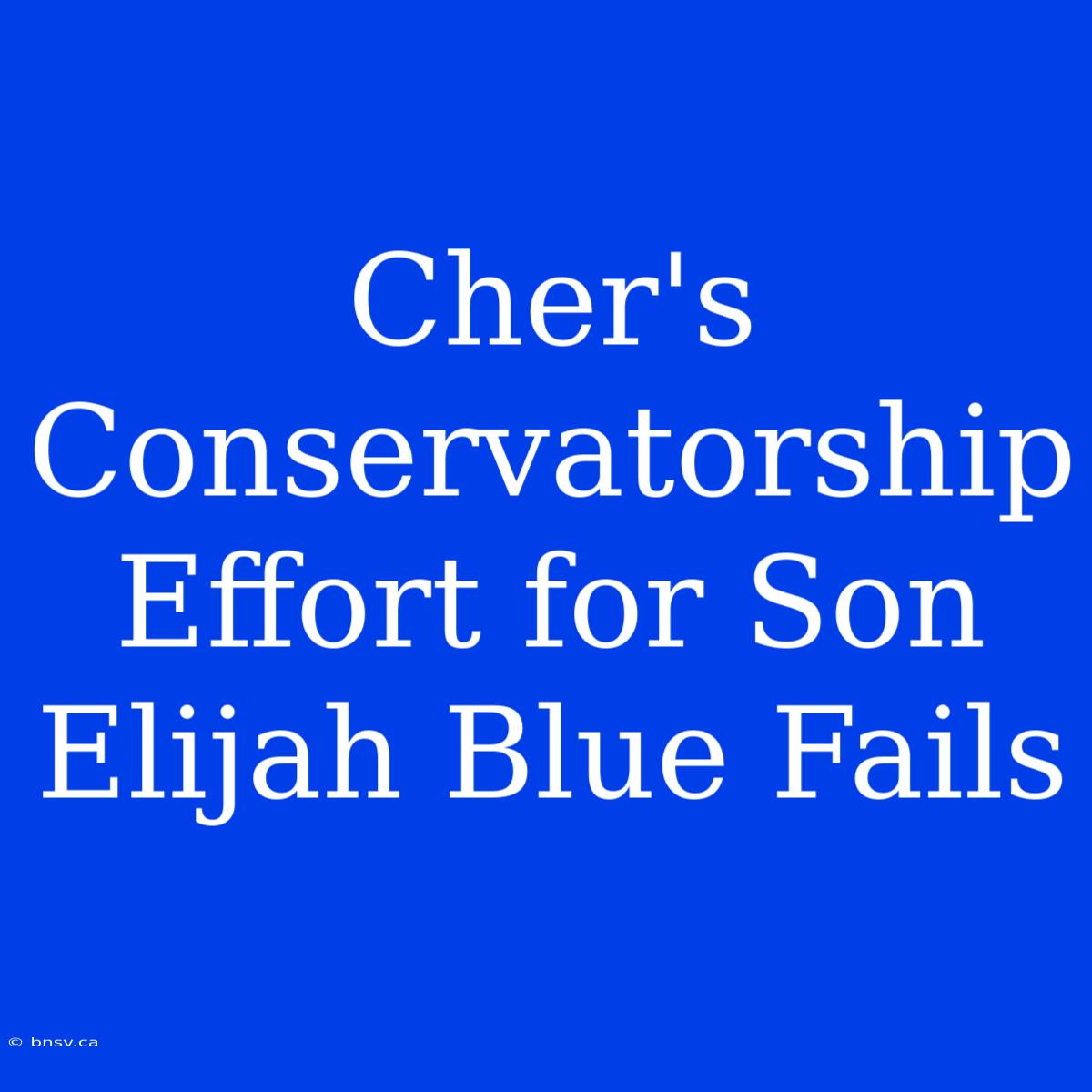 Cher's Conservatorship Effort For Son Elijah Blue Fails