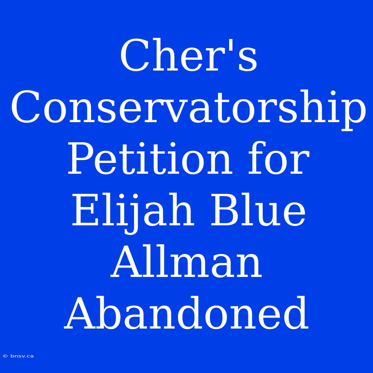 Cher's Conservatorship Petition For Elijah Blue Allman Abandoned