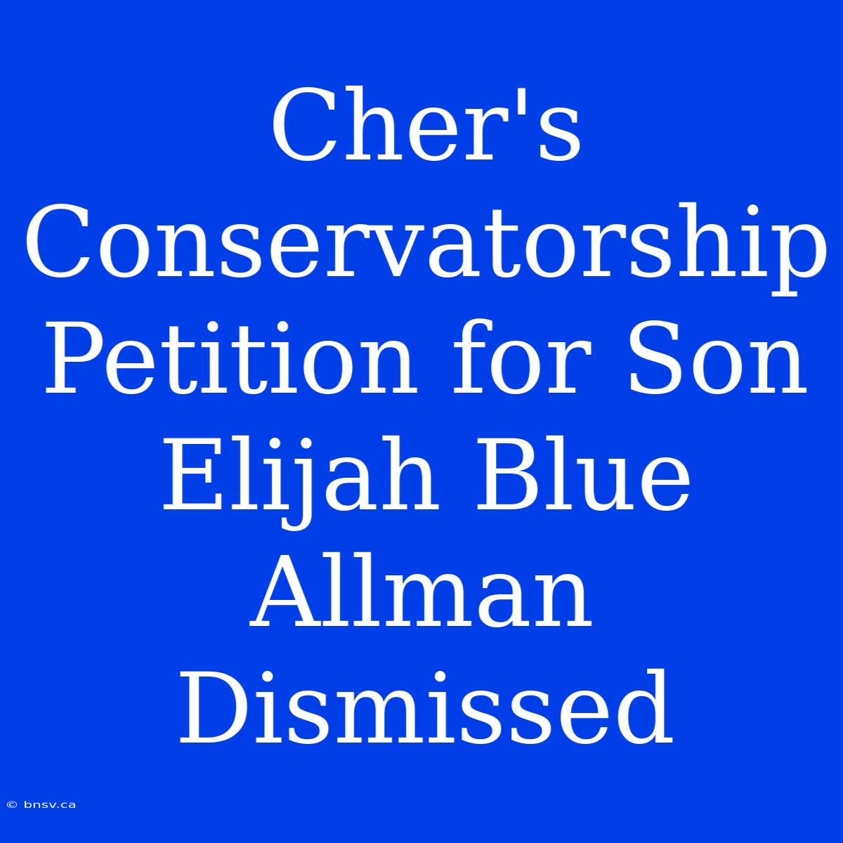 Cher's Conservatorship Petition For Son Elijah Blue Allman Dismissed