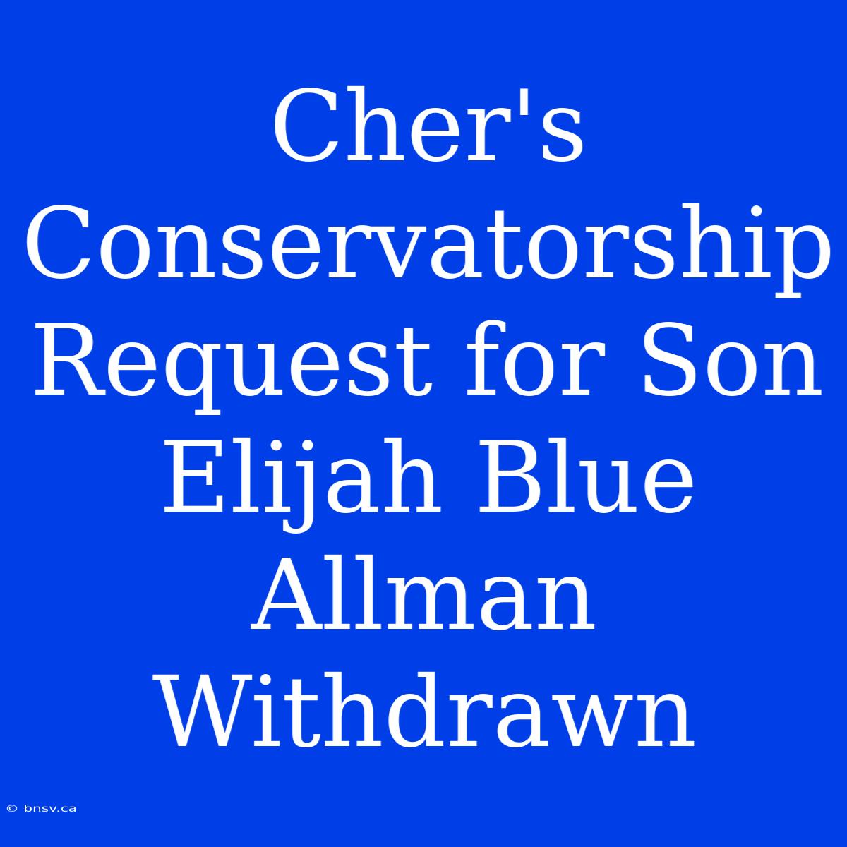 Cher's Conservatorship Request For Son Elijah Blue Allman Withdrawn