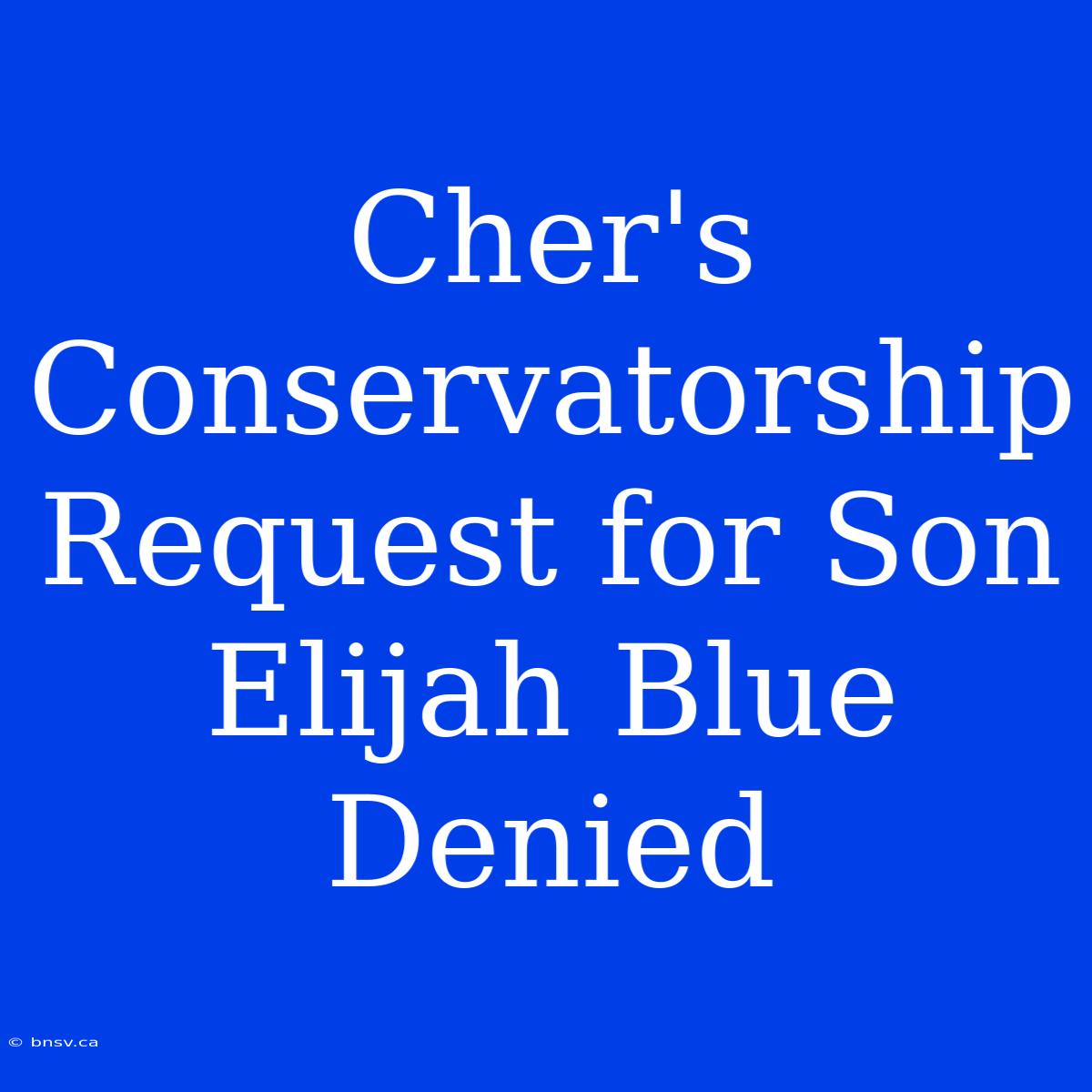 Cher's Conservatorship Request For Son Elijah Blue Denied