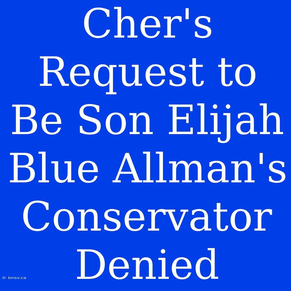 Cher's Request To Be Son Elijah Blue Allman's Conservator Denied