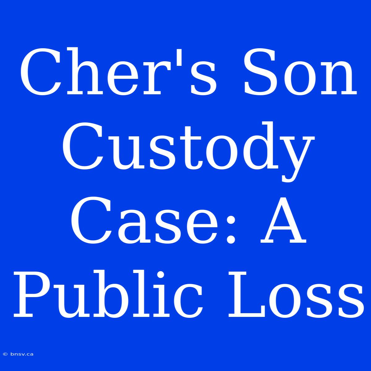 Cher's Son Custody Case: A Public Loss