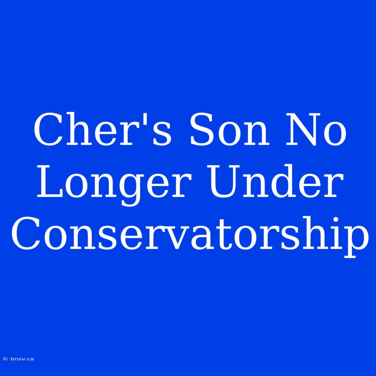 Cher's Son No Longer Under Conservatorship