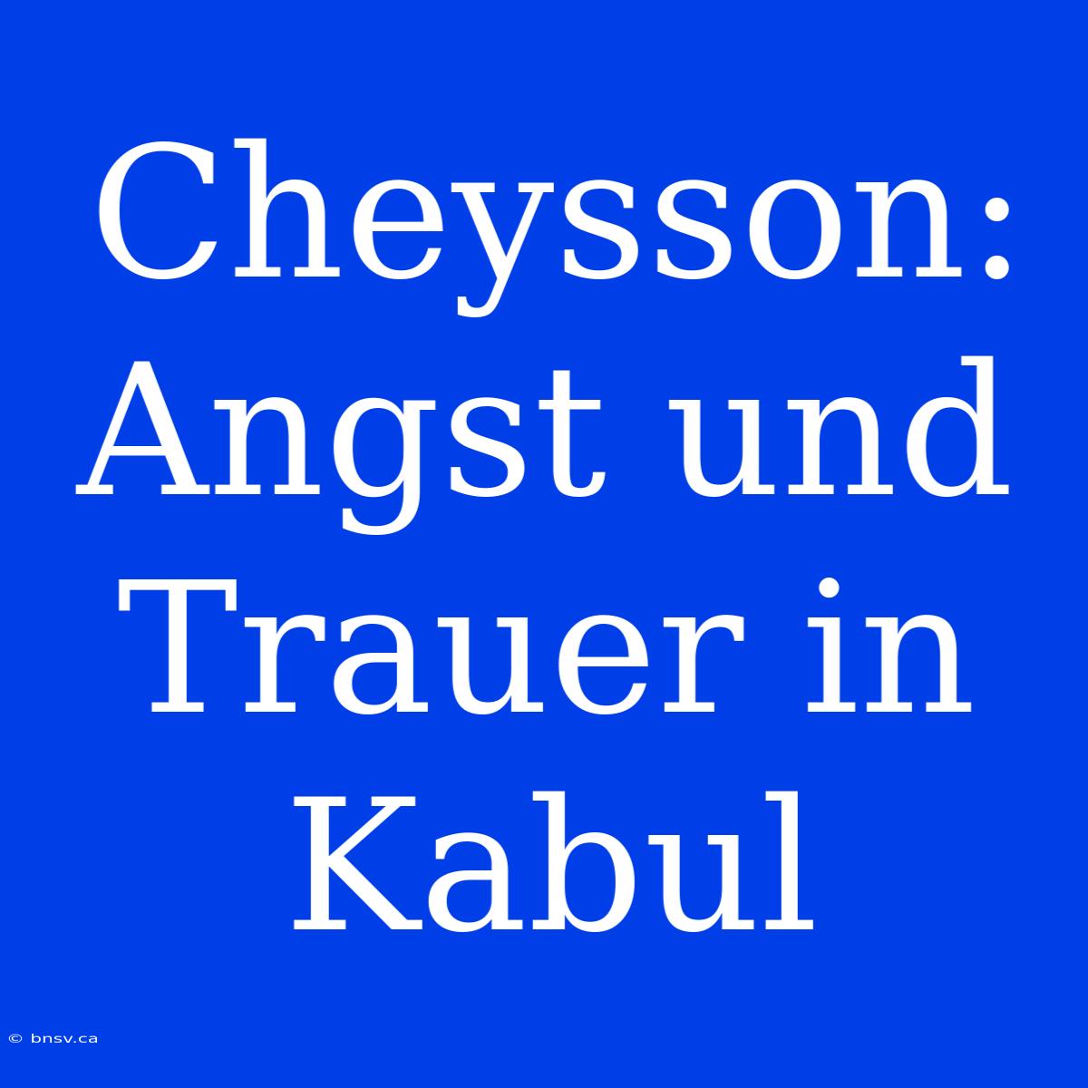 Cheysson: Angst Und Trauer In Kabul