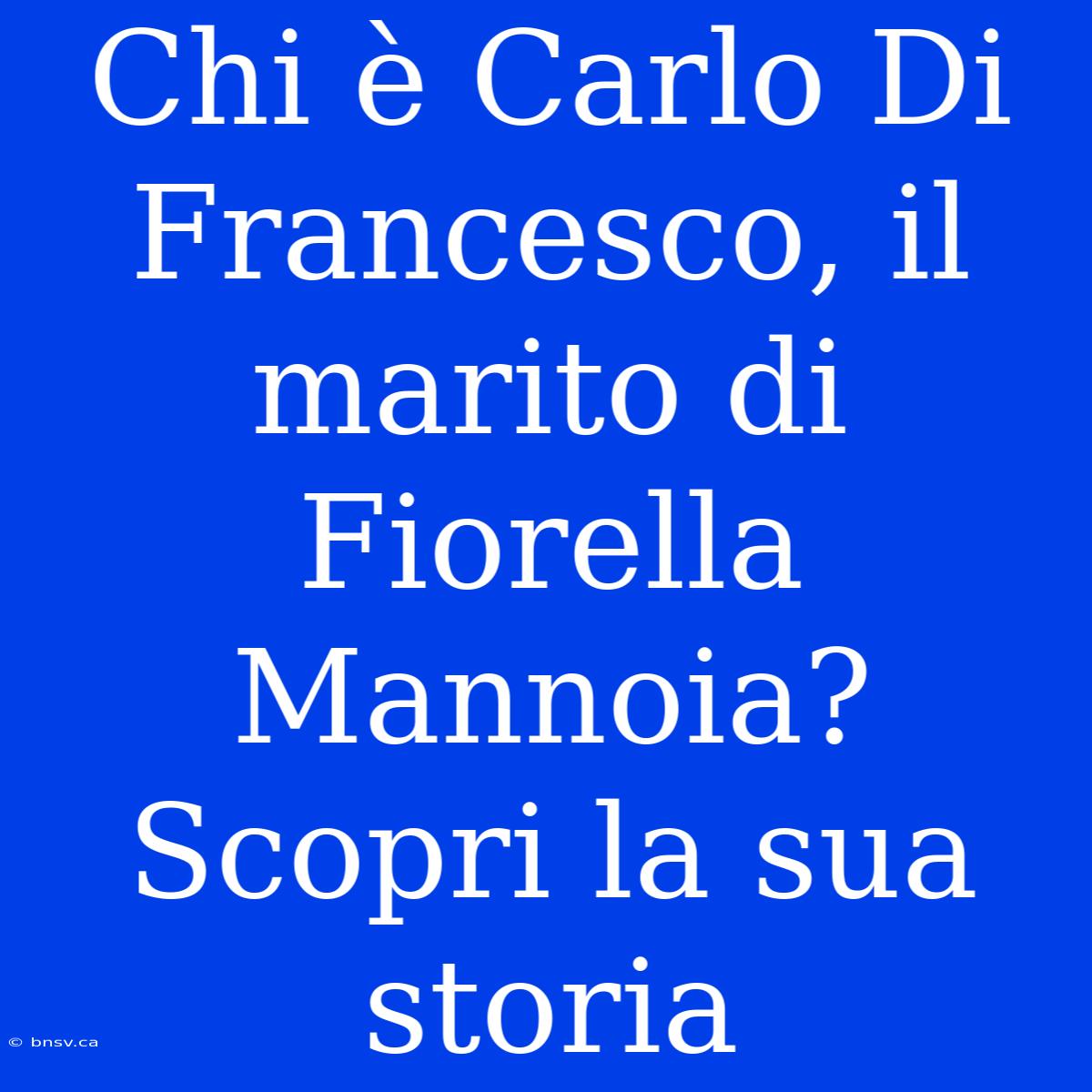 Chi È Carlo Di Francesco, Il Marito Di Fiorella Mannoia? Scopri La Sua Storia