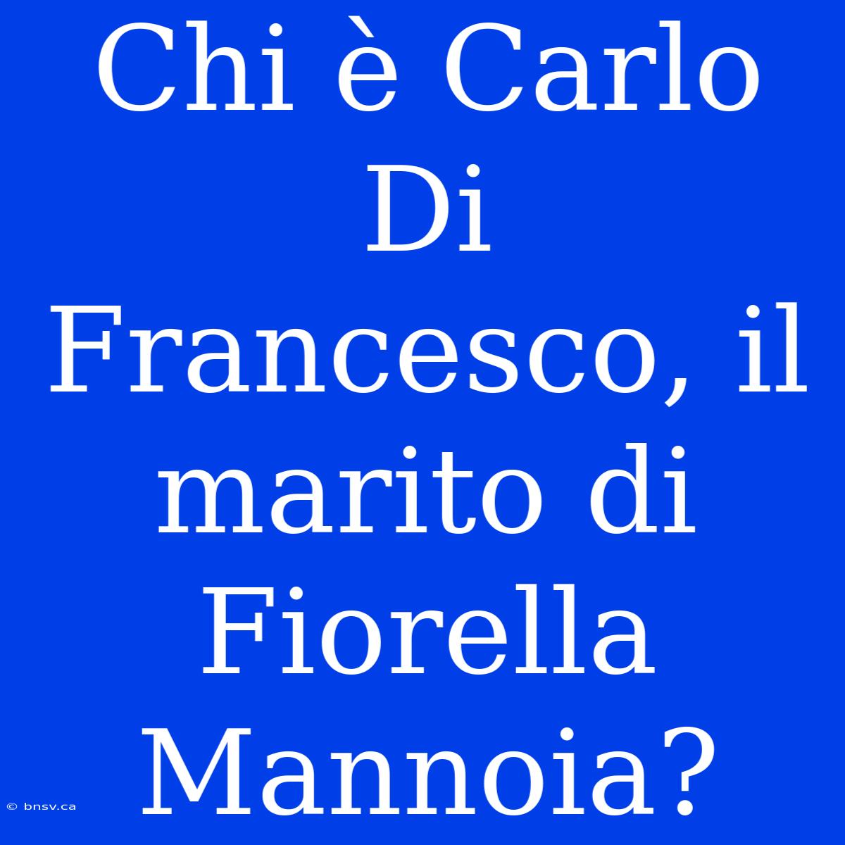 Chi È Carlo Di Francesco, Il Marito Di Fiorella Mannoia?