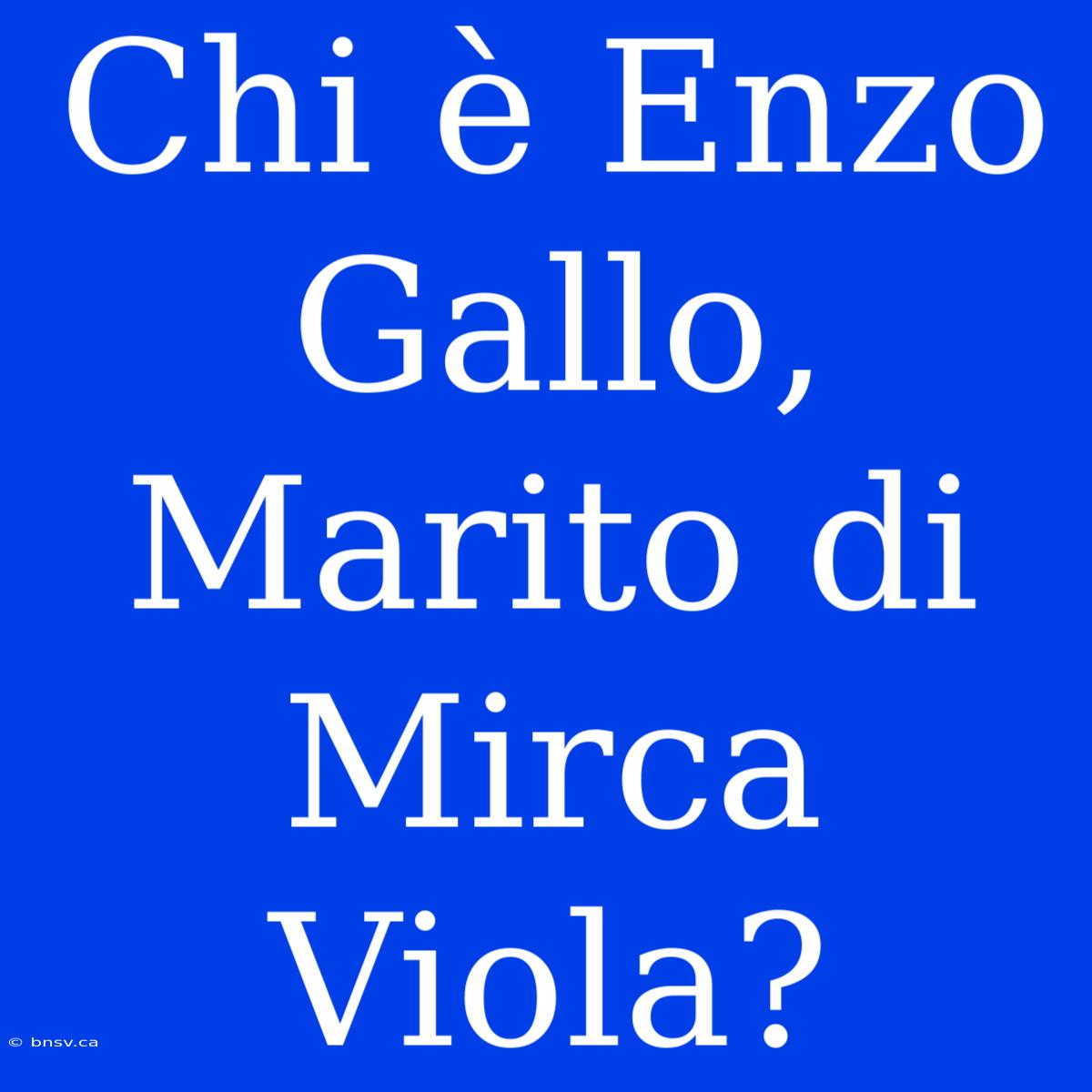 Chi È Enzo Gallo, Marito Di Mirca Viola?