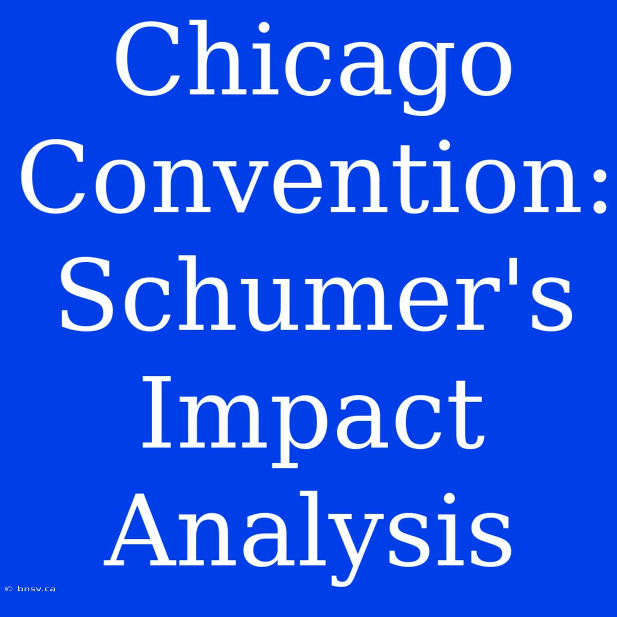 Chicago Convention: Schumer's Impact Analysis