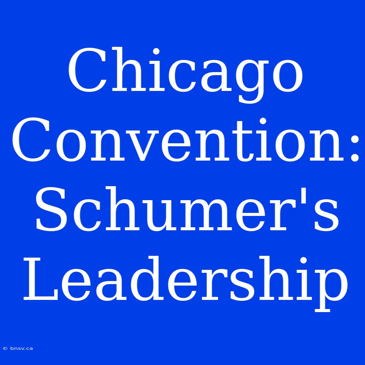 Chicago Convention: Schumer's Leadership