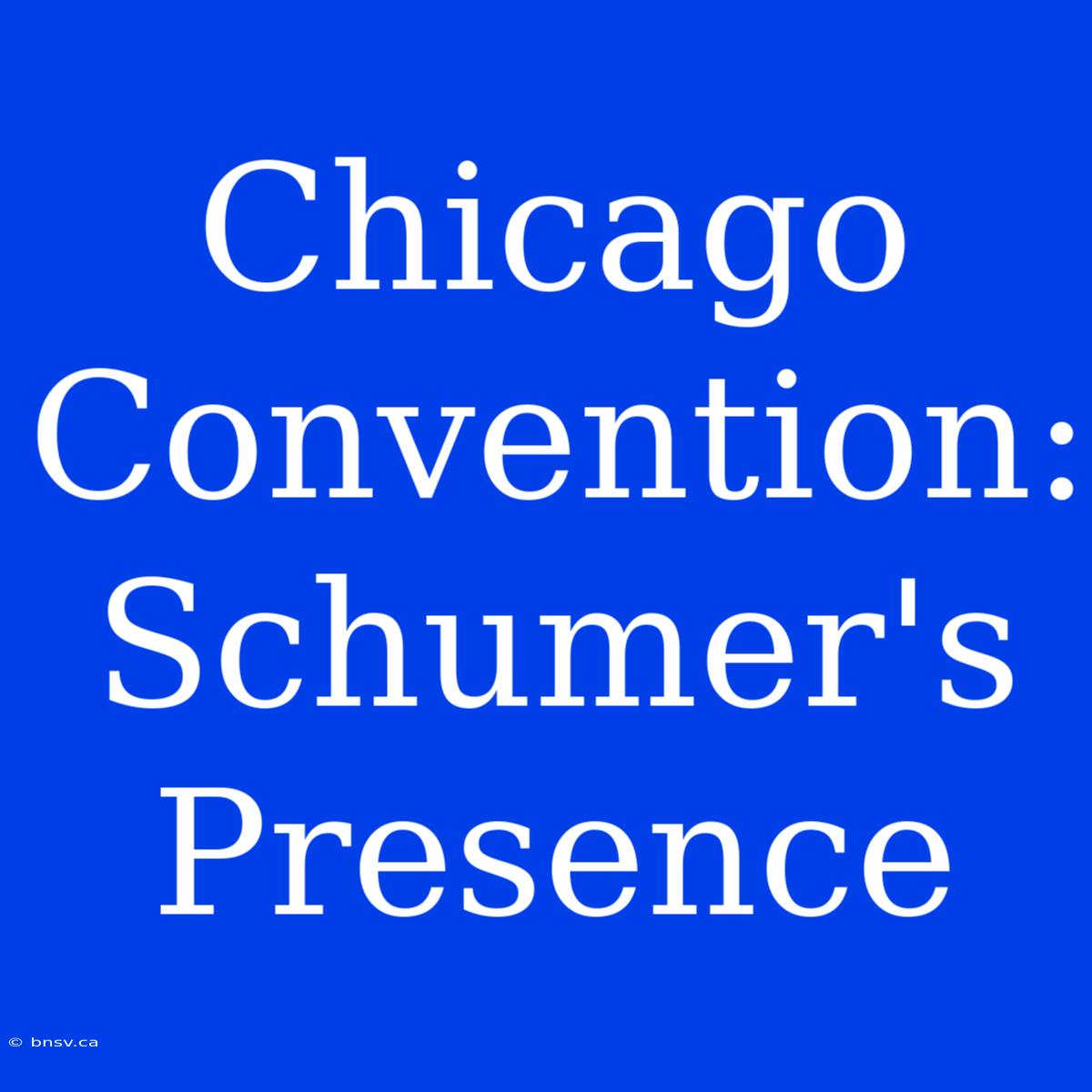 Chicago Convention: Schumer's Presence