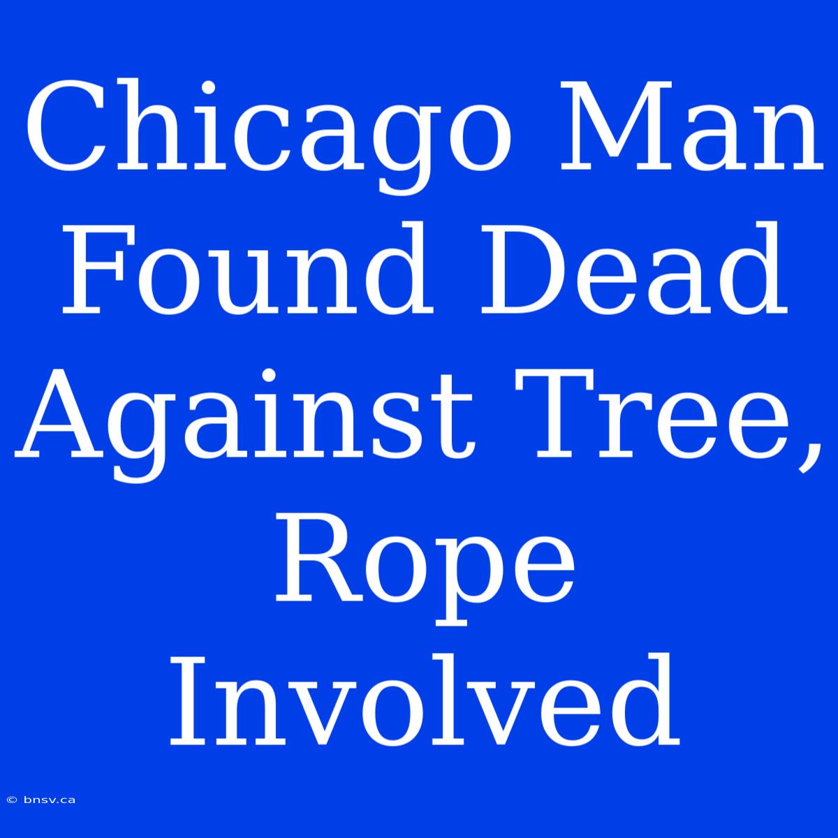 Chicago Man Found Dead Against Tree, Rope Involved