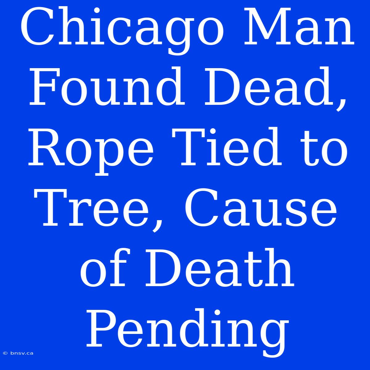 Chicago Man Found Dead, Rope Tied To Tree, Cause Of Death Pending