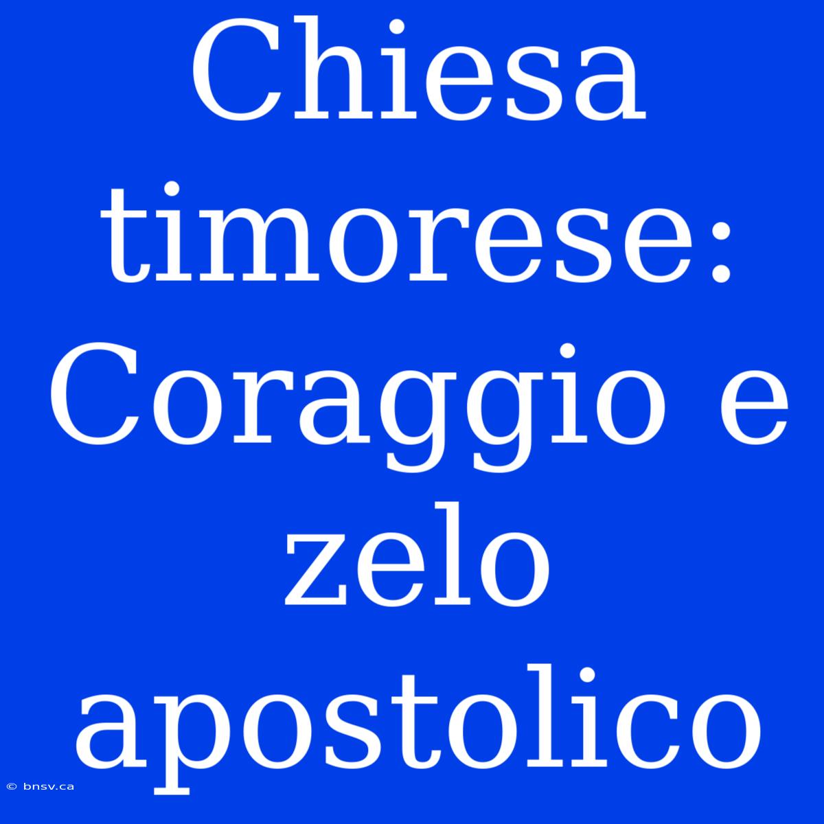 Chiesa Timorese: Coraggio E Zelo Apostolico