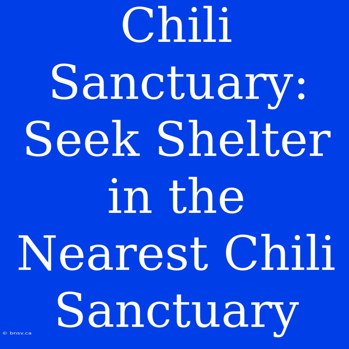 Chili Sanctuary: Seek Shelter In The Nearest Chili Sanctuary