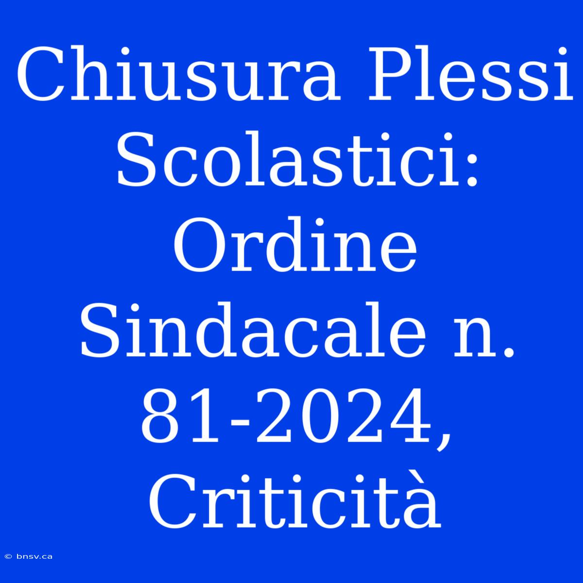 Chiusura Plessi Scolastici: Ordine Sindacale N. 81-2024, Criticità