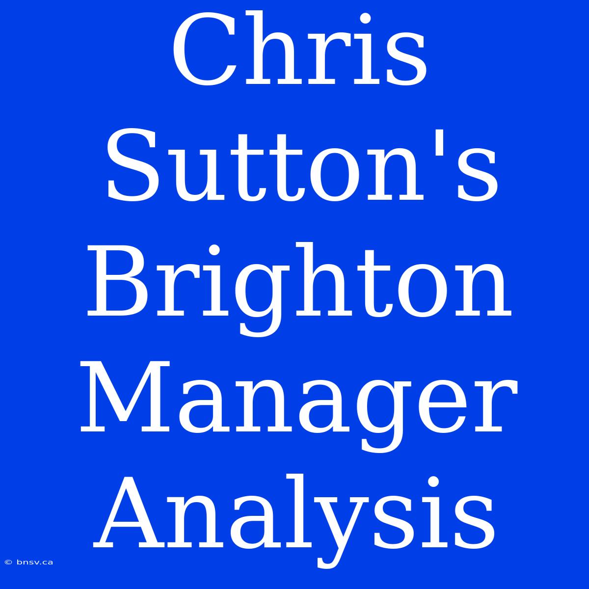 Chris Sutton's Brighton Manager Analysis