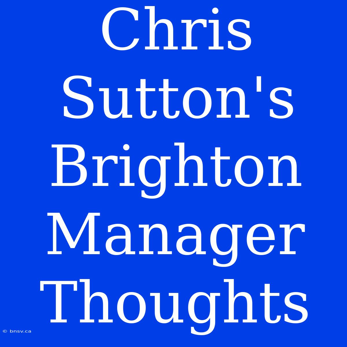 Chris Sutton's Brighton Manager Thoughts