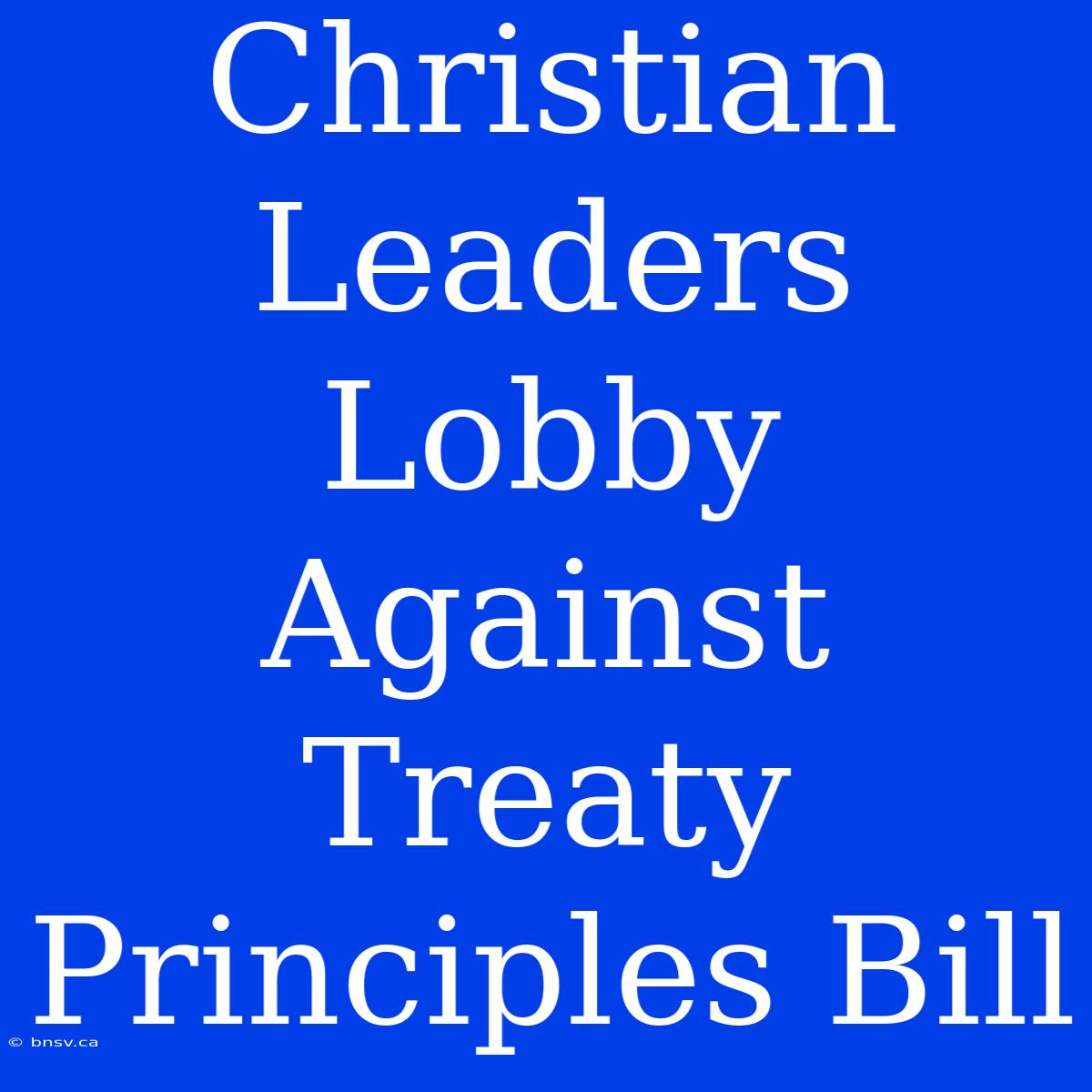 Christian Leaders Lobby Against Treaty Principles Bill