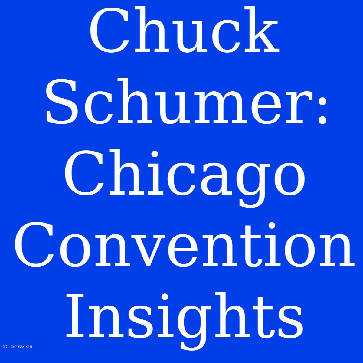 Chuck Schumer: Chicago Convention Insights