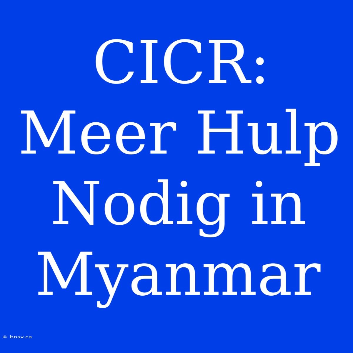 CICR: Meer Hulp Nodig In Myanmar