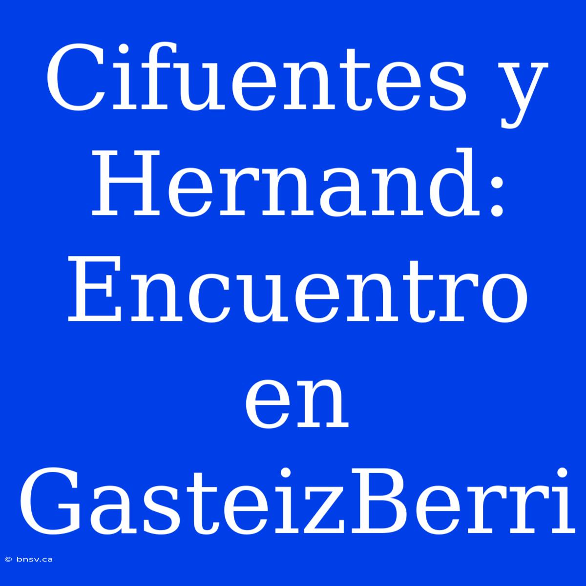 Cifuentes Y Hernand: Encuentro En GasteizBerri