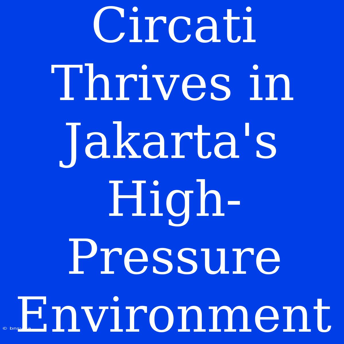 Circati Thrives In Jakarta's High-Pressure Environment