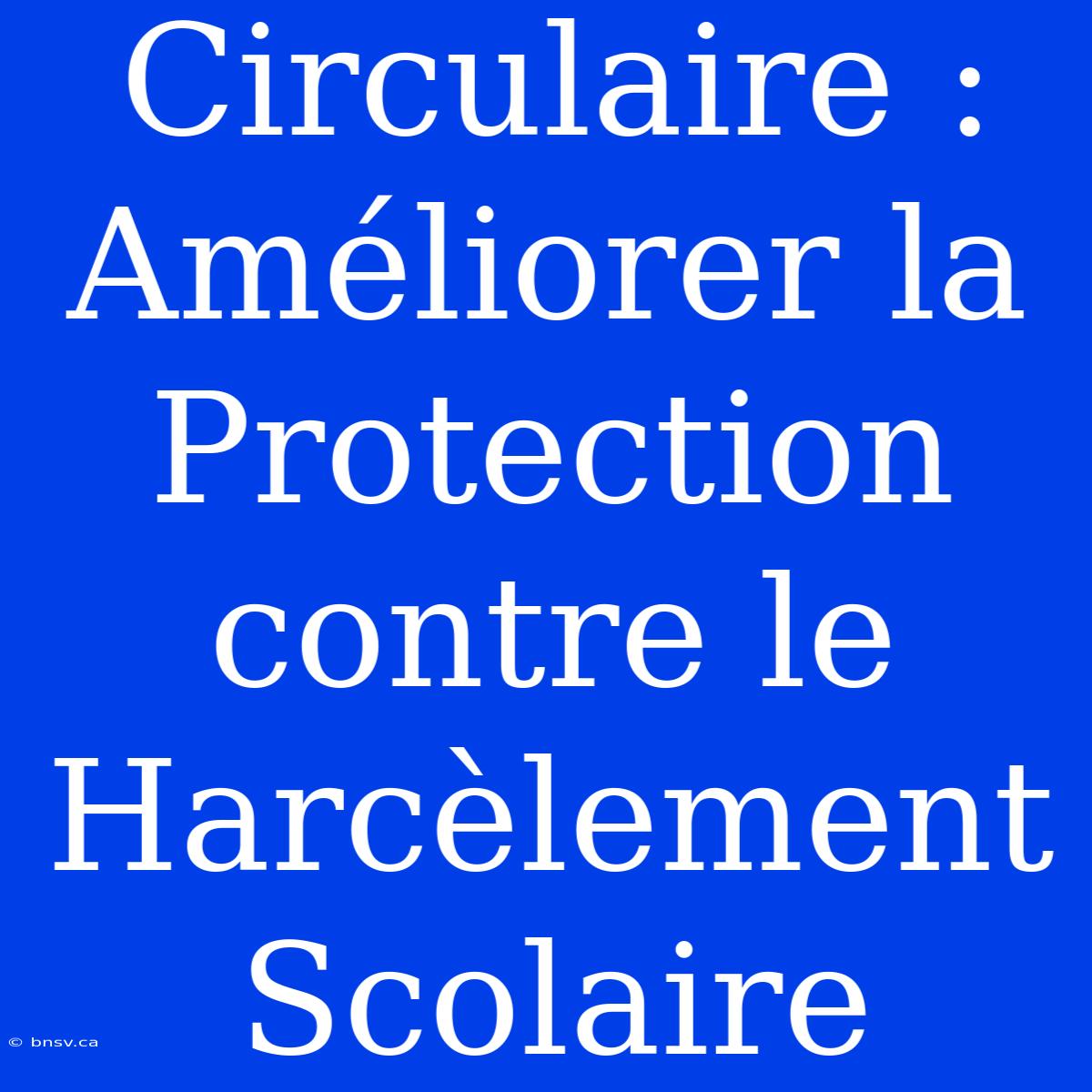 Circulaire : Améliorer La Protection Contre Le Harcèlement Scolaire