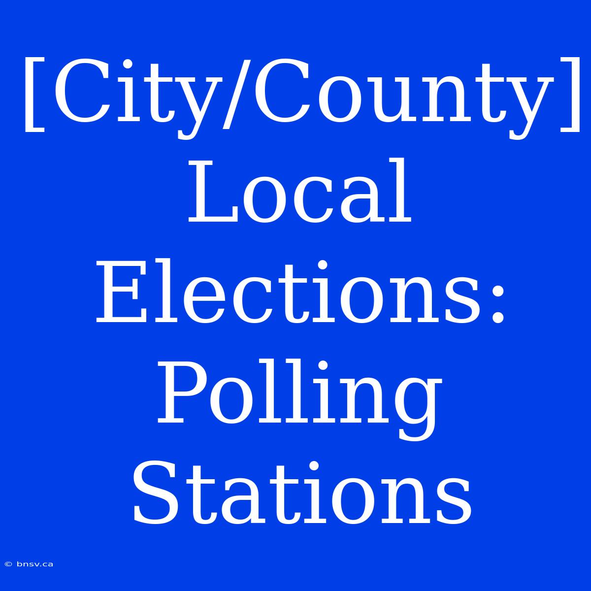 [City/County] Local Elections: Polling Stations