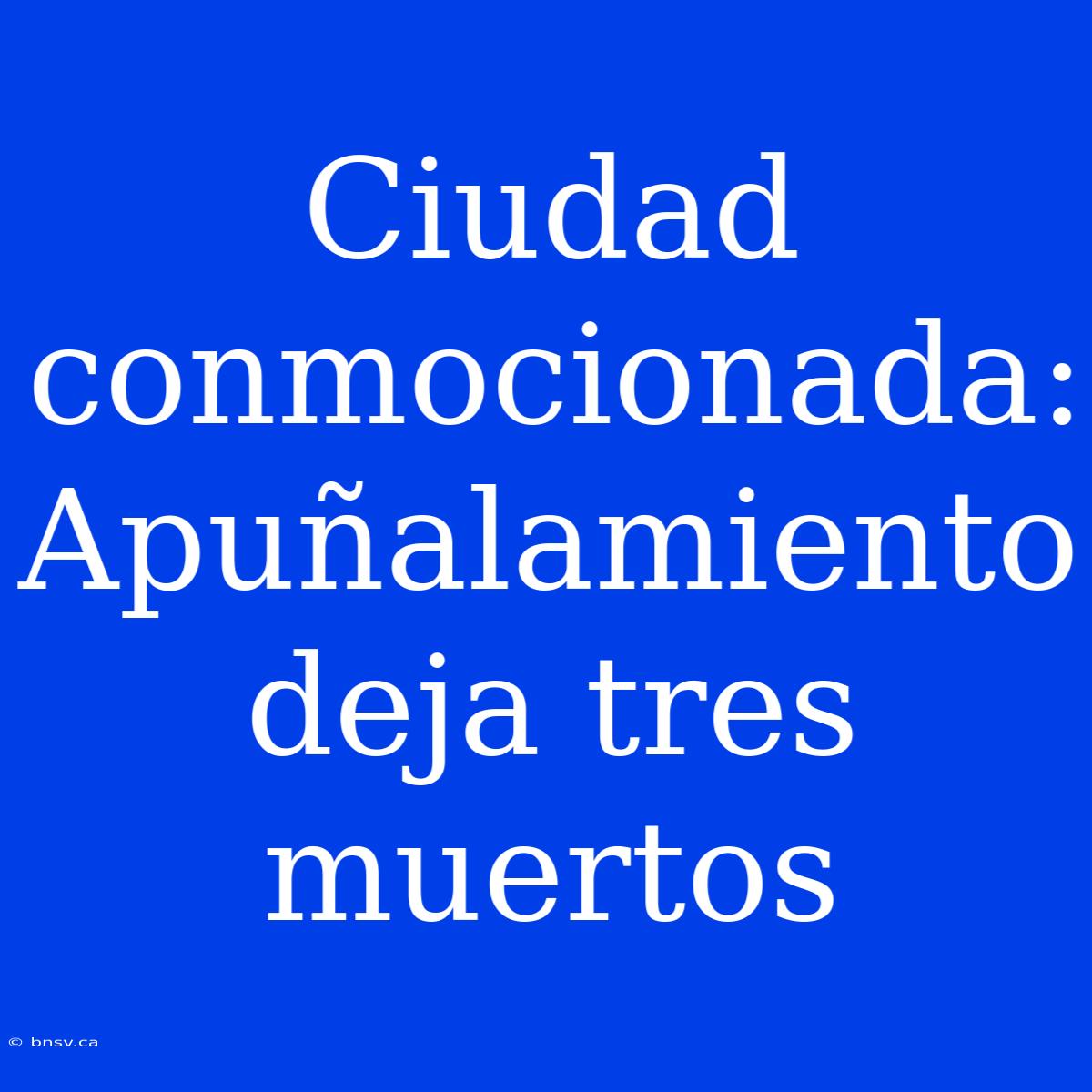 Ciudad Conmocionada: Apuñalamiento Deja Tres Muertos