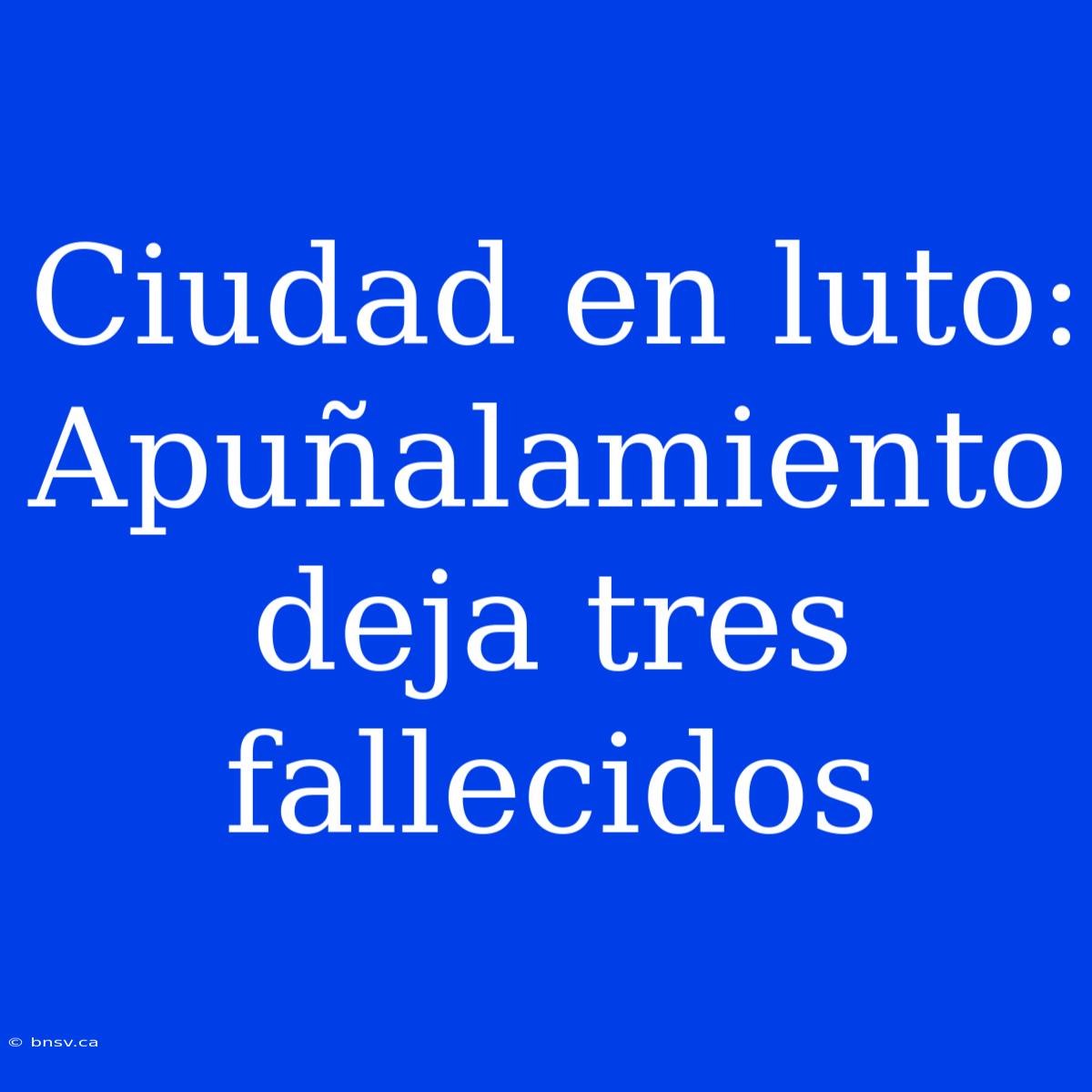 Ciudad En Luto: Apuñalamiento Deja Tres Fallecidos