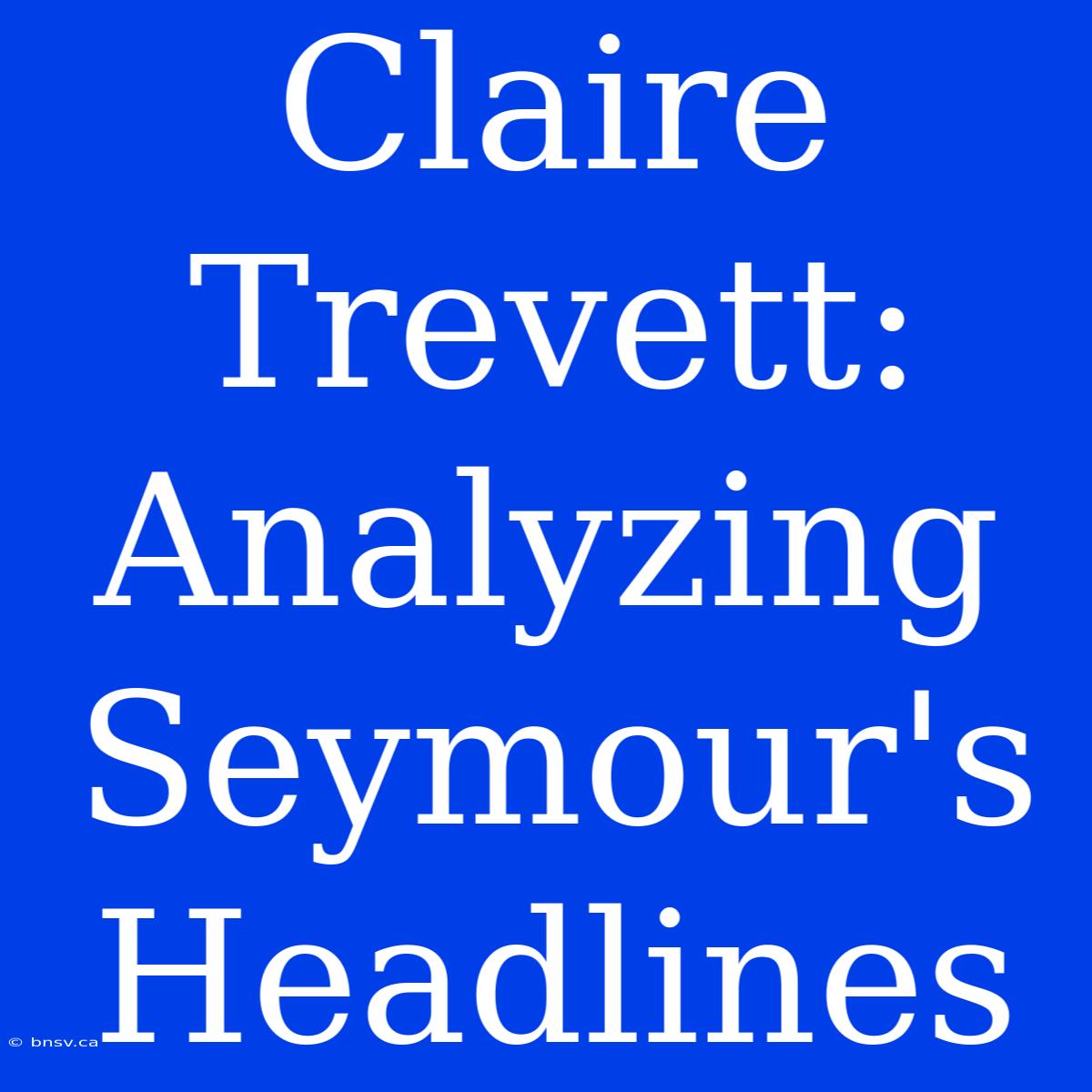 Claire Trevett: Analyzing Seymour's Headlines