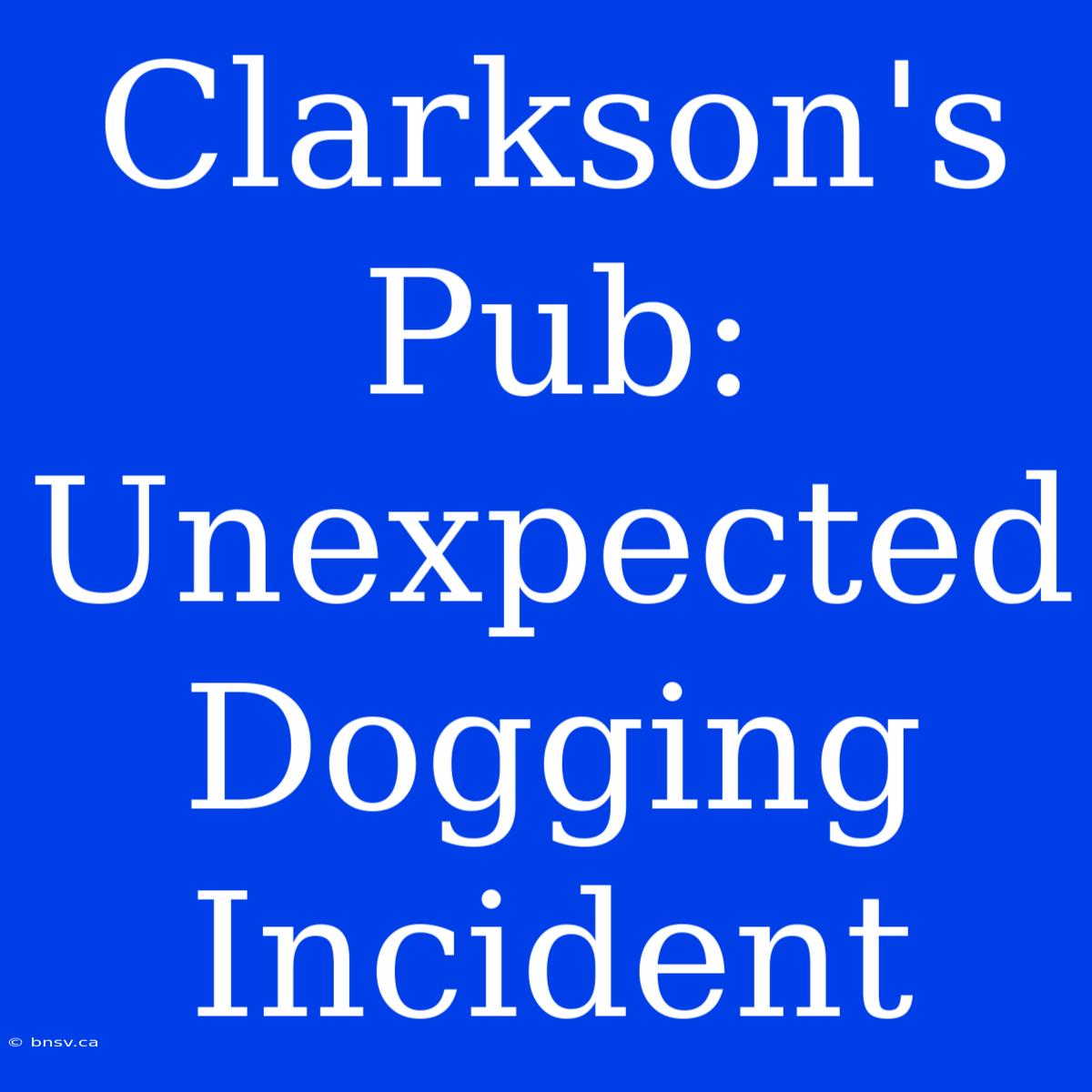 Clarkson's Pub: Unexpected Dogging Incident