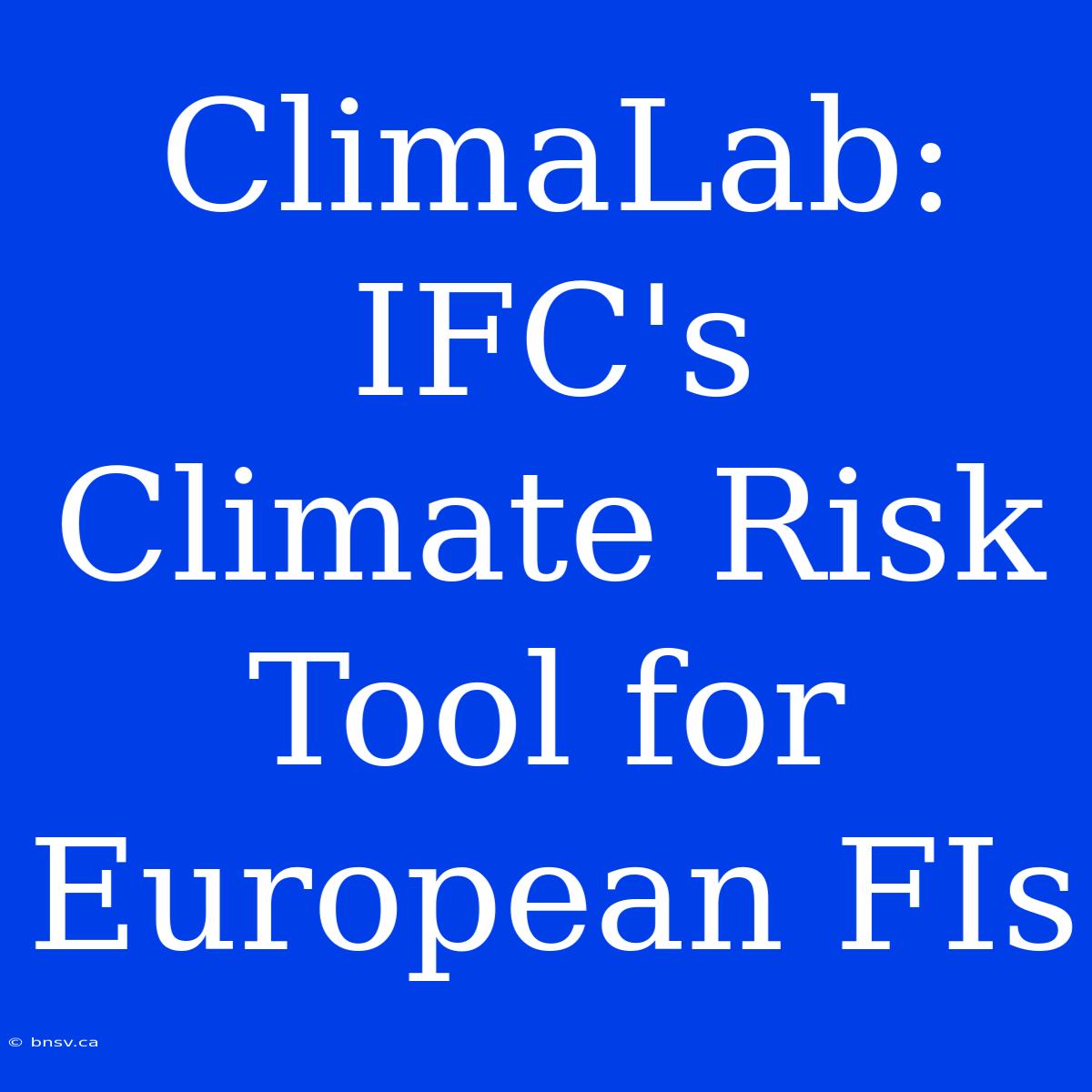 ClimaLab: IFC's Climate Risk Tool For European FIs