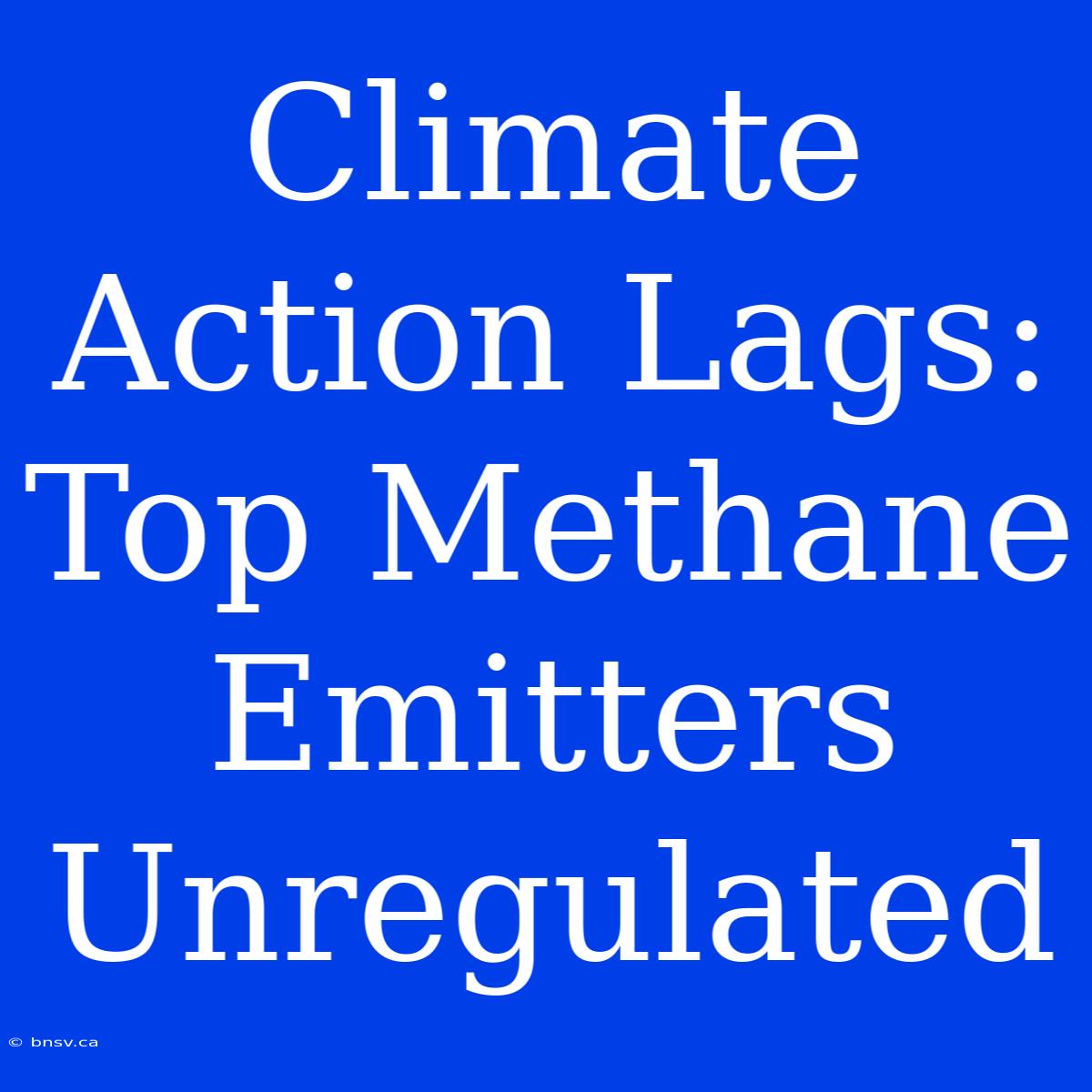 Climate Action Lags: Top Methane Emitters Unregulated