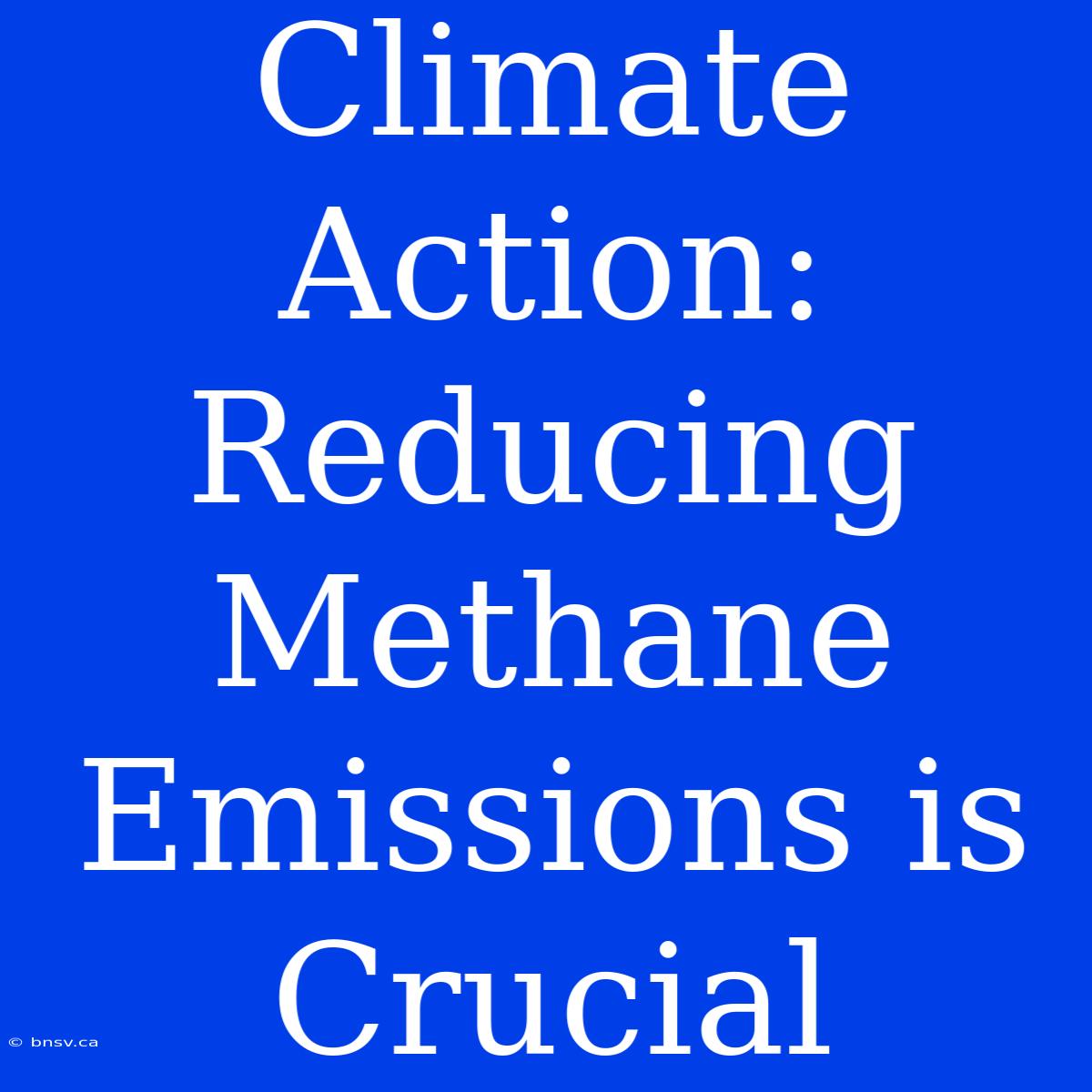 Climate Action: Reducing Methane Emissions Is Crucial