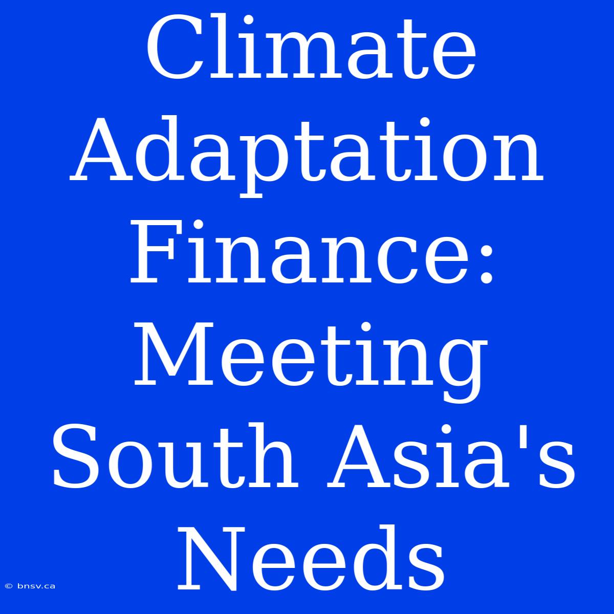 Climate Adaptation Finance: Meeting South Asia's Needs