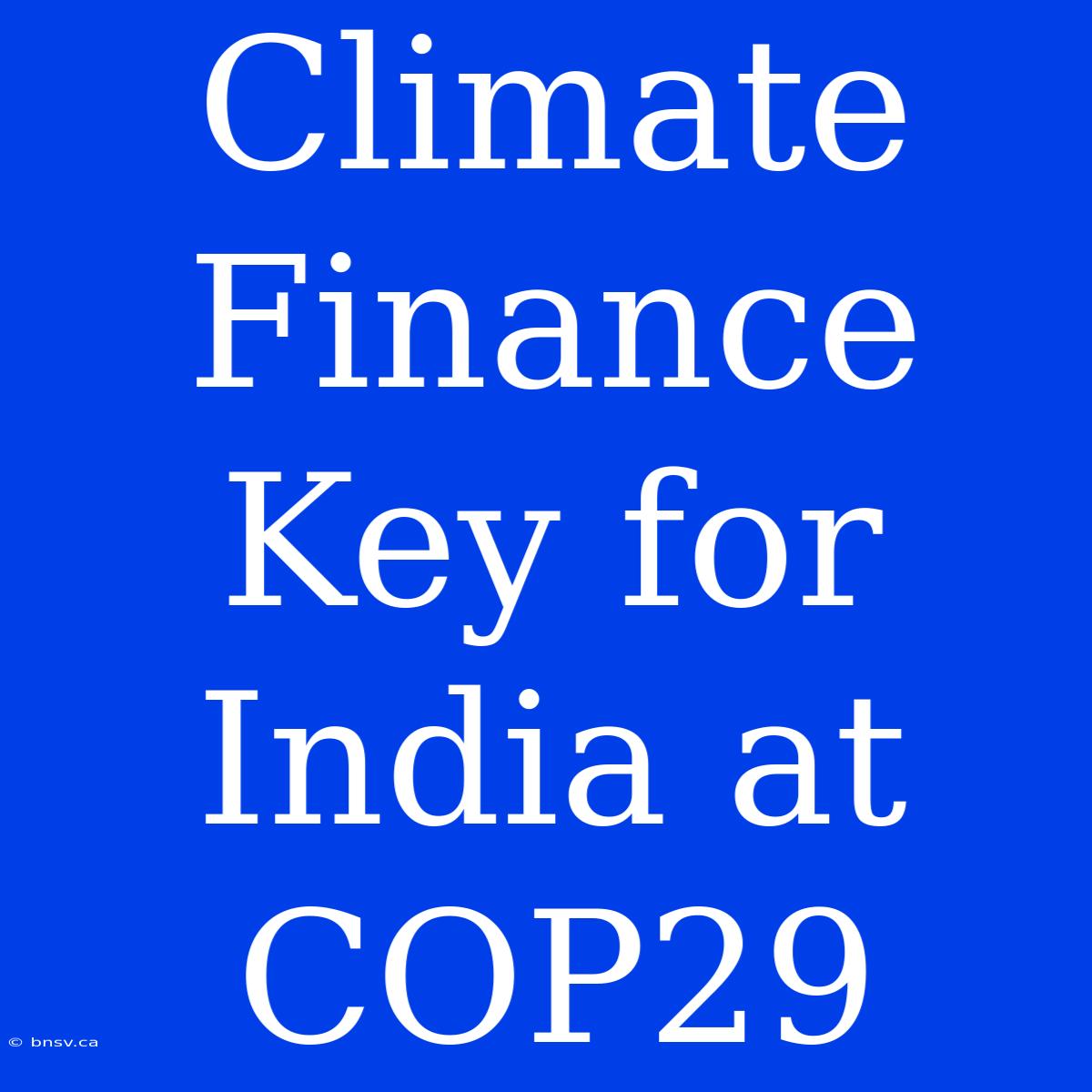 Climate Finance Key For India At COP29