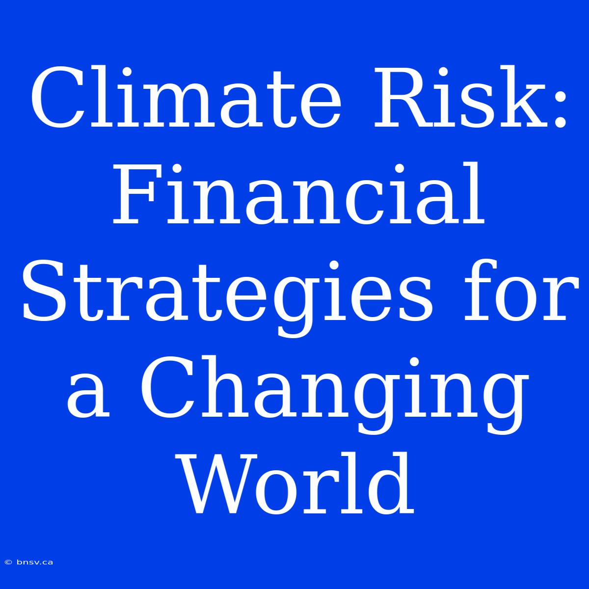 Climate Risk: Financial Strategies For A Changing World