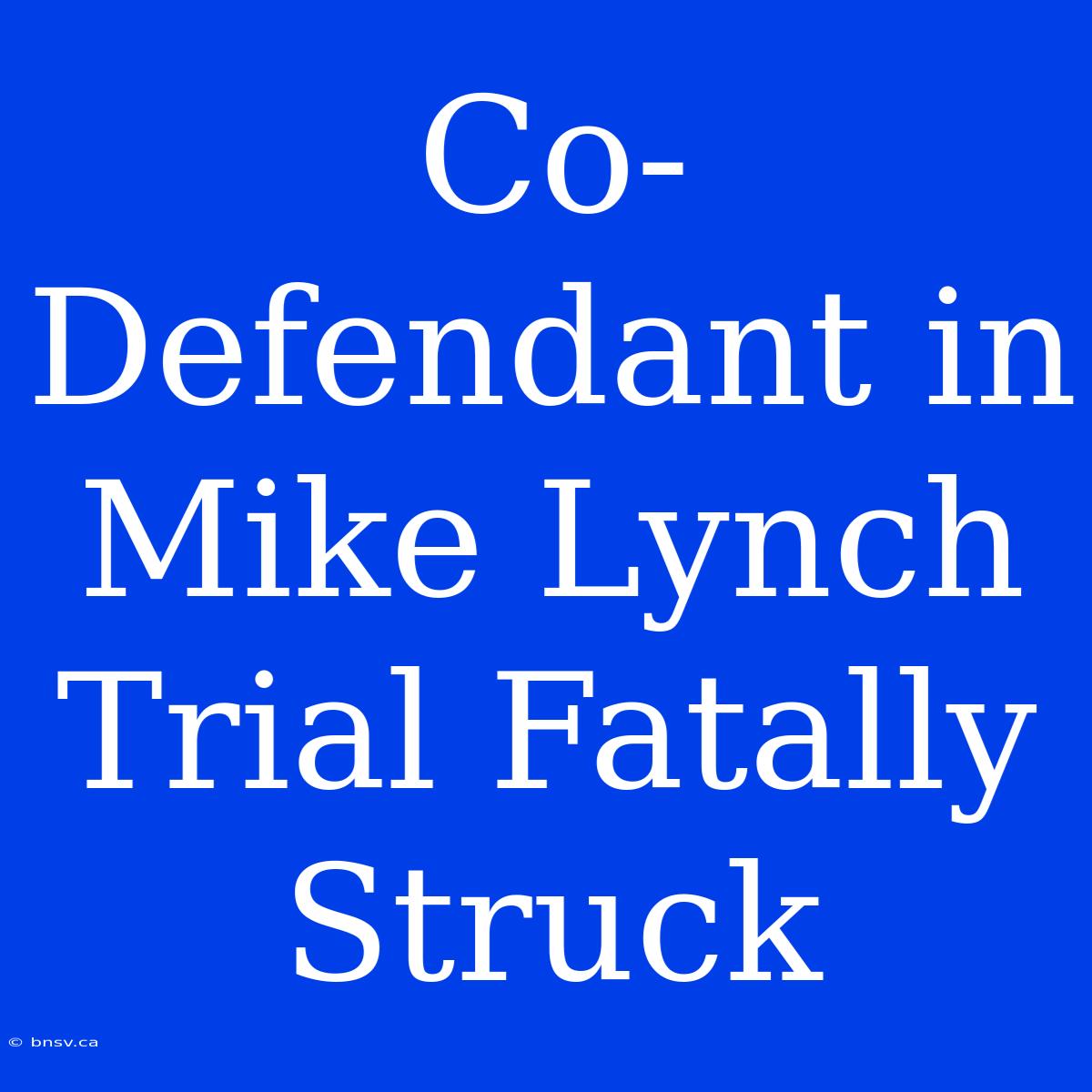 Co-Defendant In Mike Lynch Trial Fatally Struck