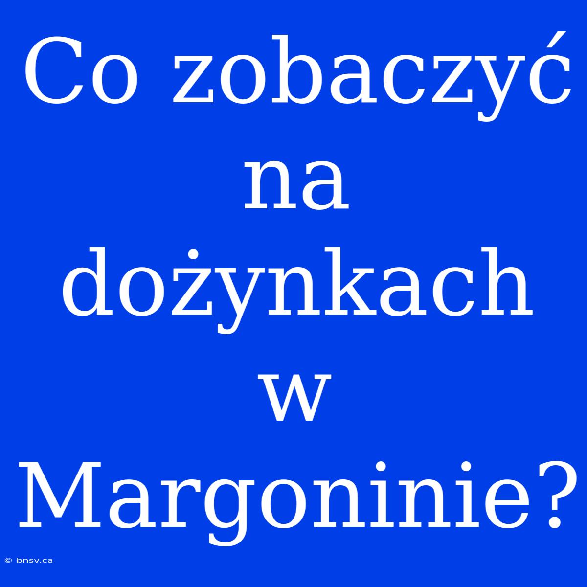 Co Zobaczyć Na Dożynkach W Margoninie?