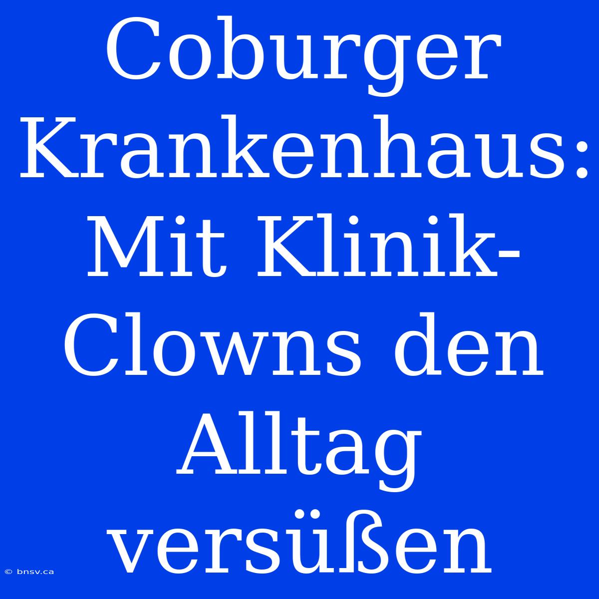 Coburger Krankenhaus: Mit Klinik-Clowns Den Alltag Versüßen