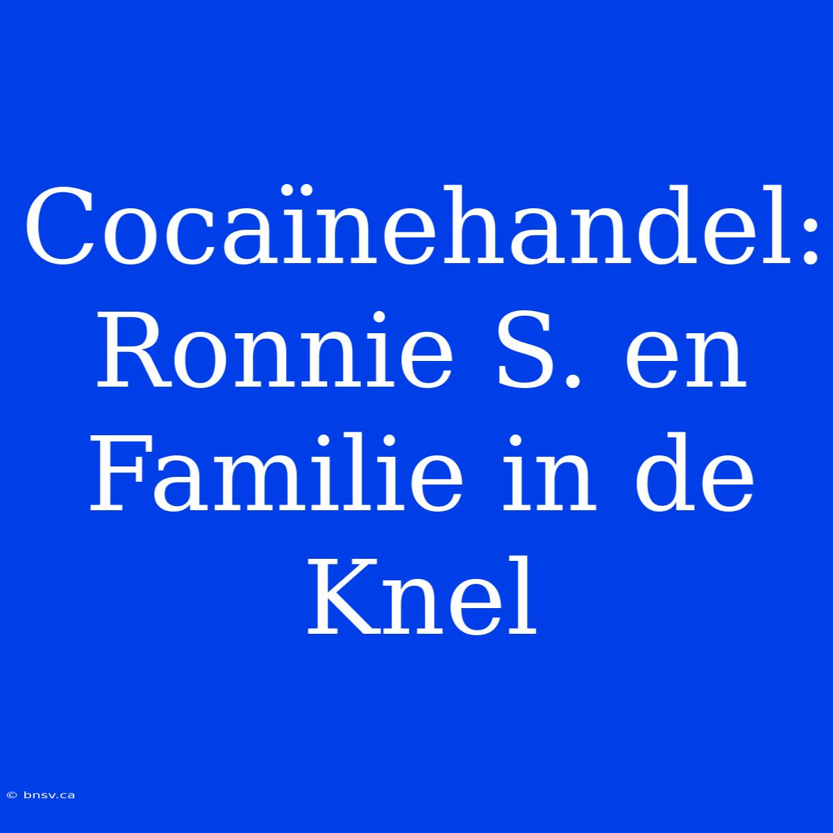 Cocaïnehandel: Ronnie S. En Familie In De Knel