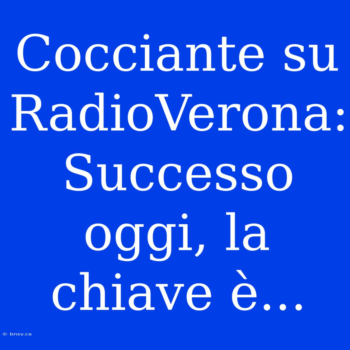 Cocciante Su RadioVerona: Successo Oggi, La Chiave È...