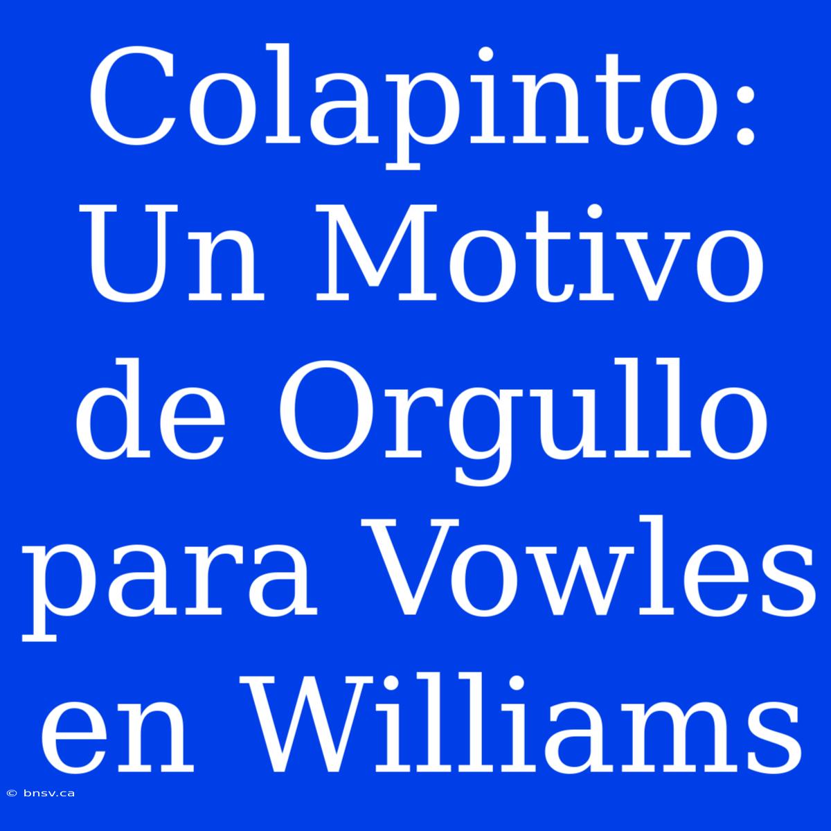 Colapinto:  Un Motivo De Orgullo Para Vowles En Williams