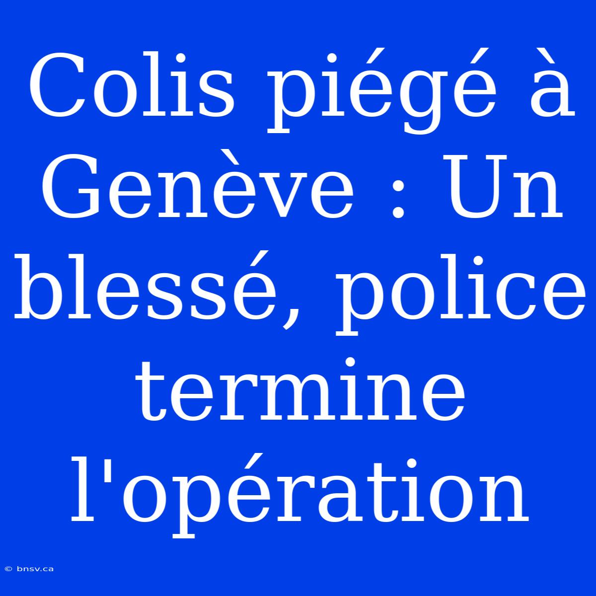 Colis Piégé À Genève : Un Blessé, Police Termine L'opération