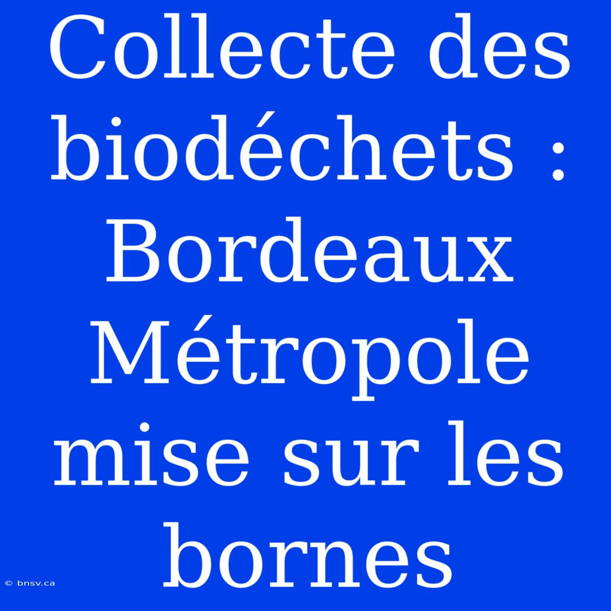 Collecte Des Biodéchets : Bordeaux Métropole Mise Sur Les Bornes