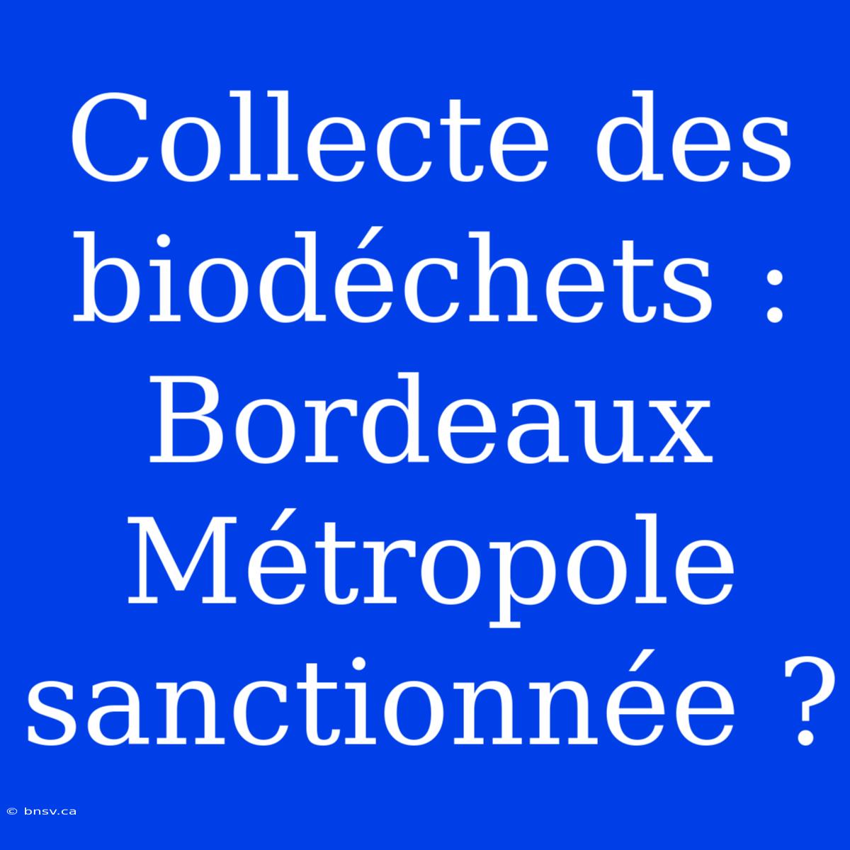 Collecte Des Biodéchets : Bordeaux Métropole Sanctionnée ?