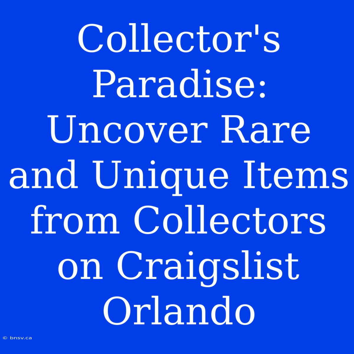 Collector's Paradise: Uncover Rare And Unique Items From Collectors On Craigslist Orlando