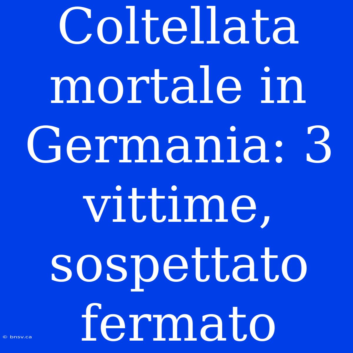 Coltellata Mortale In Germania: 3 Vittime, Sospettato Fermato